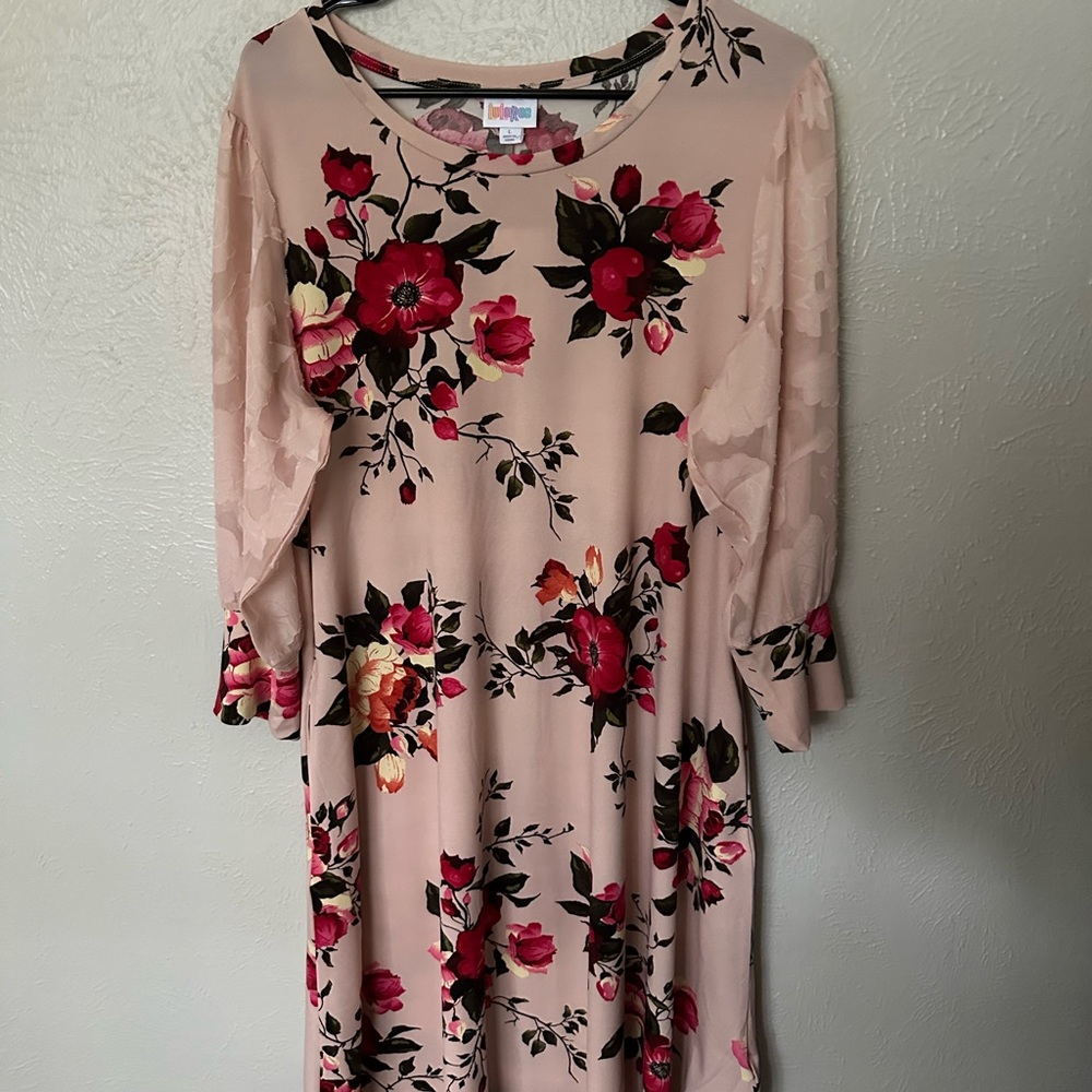 Gorgeous Lula roe dress, spring flowers